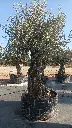 A01163 OBMA100 foto2.webp