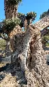 L05021 OPR16 foto4.webp