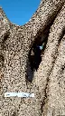L05021 OPR16 foto3.webp