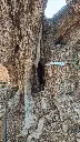 L05042 OPR13 foto3.webp