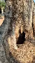 L05042 OPR13 foto5.webp