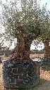 L00211 OBM180 foto2.webp