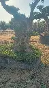 L07082 OPR05 foto3.webp