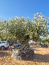 L07273 ONR28 foto2.webp
