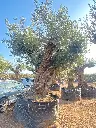 L07293 ONR22 foto1.webp