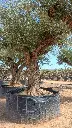 L07193 ONR07 foto3.webp