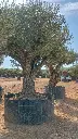 L07193 ONR07 foto2.webp