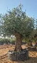 L09041 ONR14 foto2.webp