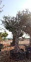 L09043 ONM120 foto2.webp
