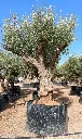 L09371 ONR01 foto2.webp