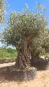 L13010 ONR22 foto2.webp