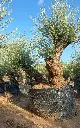 L10111 (1).webp