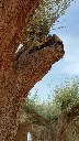 L07272 (3).webp