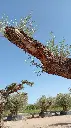 L07021 (3).webp