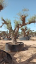 L08022 foto 2