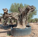 L05091 foto 2