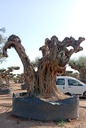 L05091 foto 3
