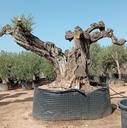 L05093 foto 2