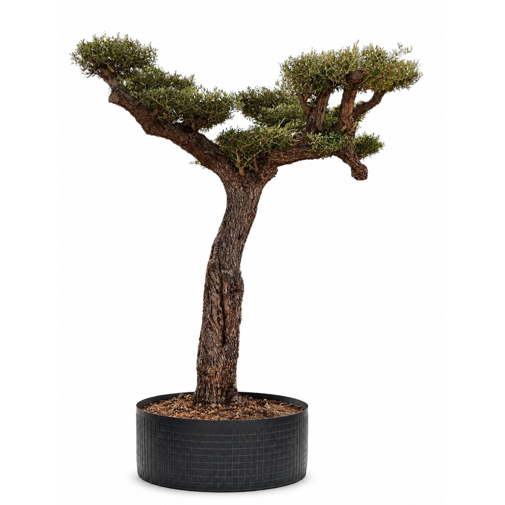 OPM80 - Olea Europaea Pompón en Malla